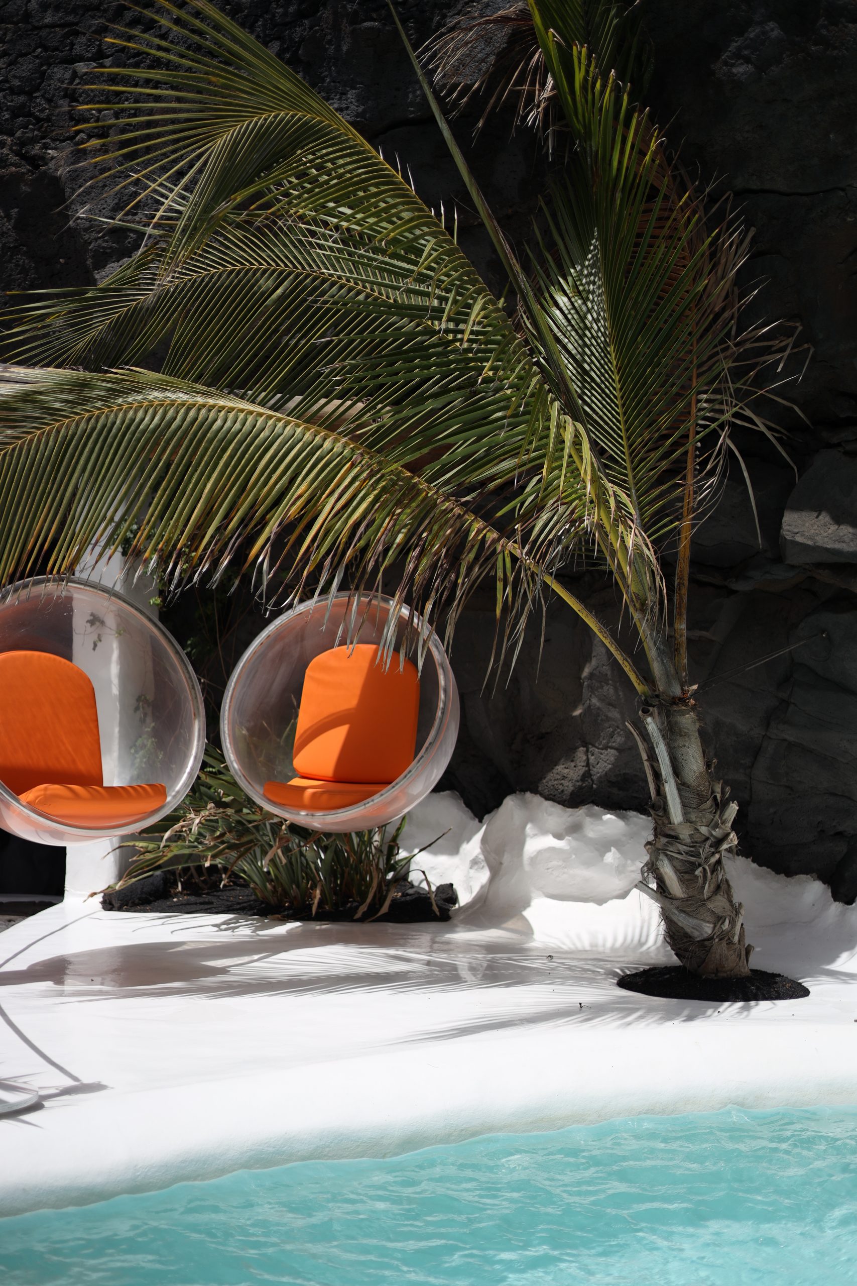 Read more about the article Art, wine and the capital