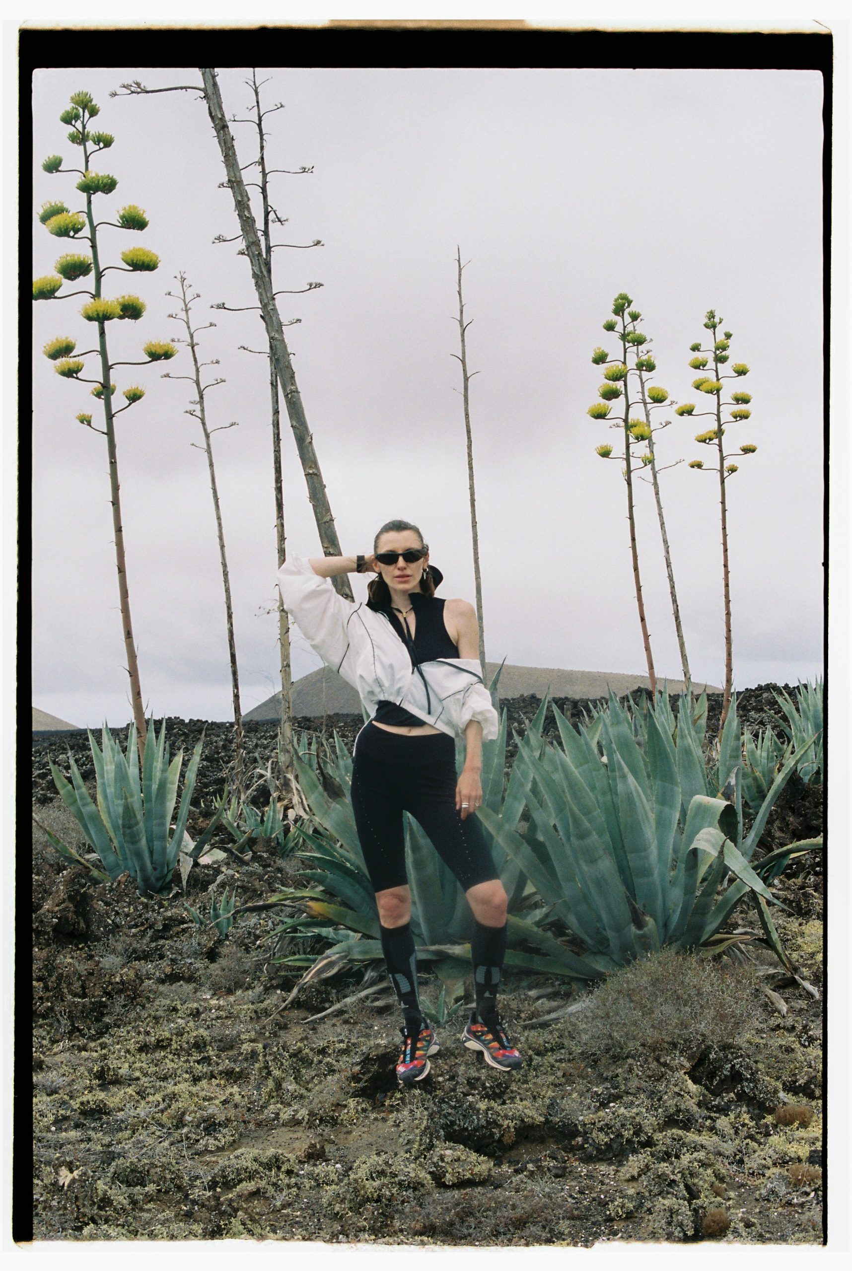 Read more about the article A journey through the Centre and The West of Lanzarote​