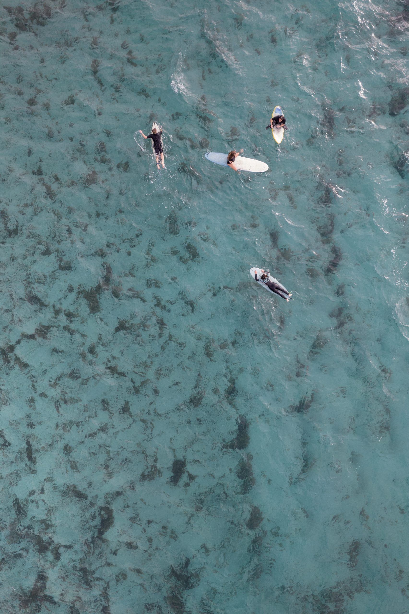 Read more about the article On Water in Lanzarote